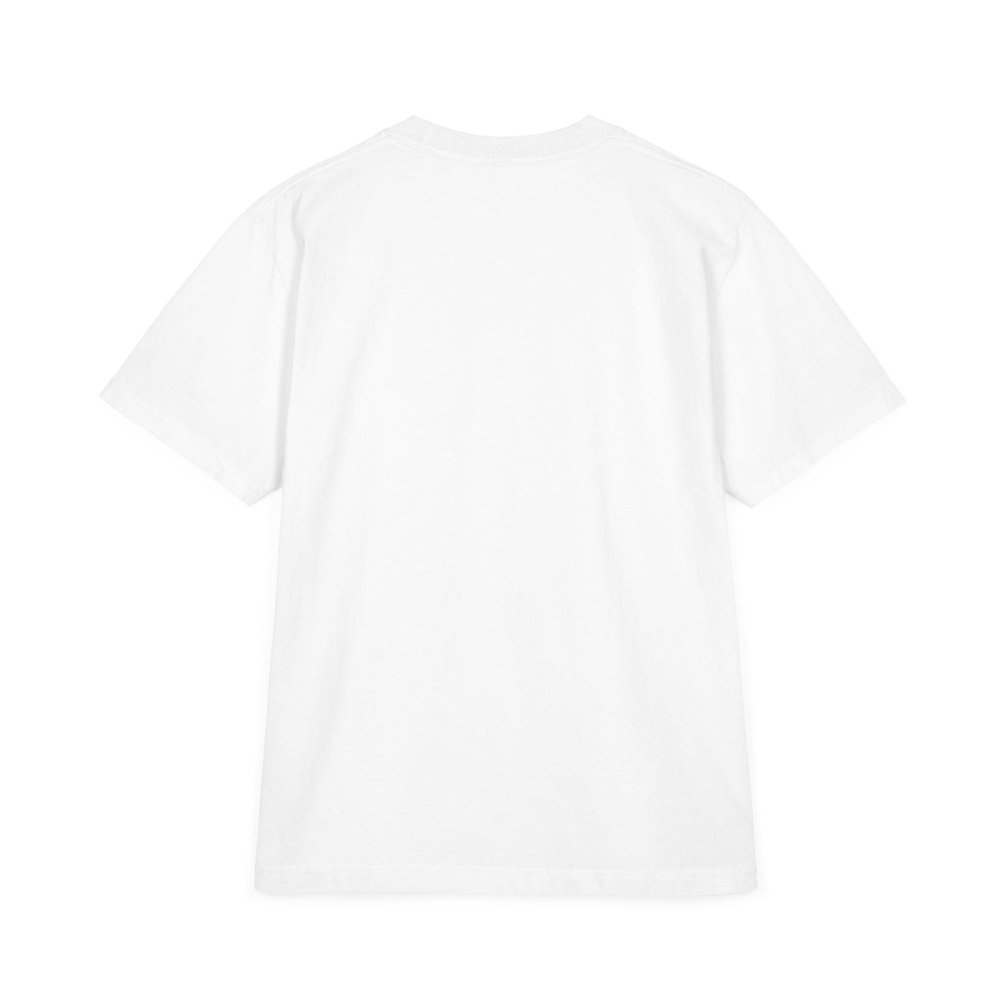 LeProcess™ City of Champions Tee | Luxury Philadelphia Streetwear | Heavyweight Oversized Graphic T-Shirt