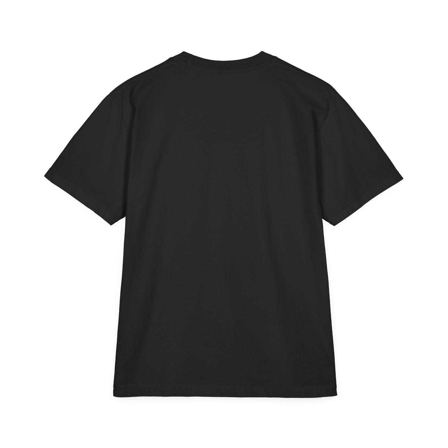 LeProcess™ City of Champions Tee | Luxury Philadelphia Streetwear | Heavyweight Oversized Graphic T-Shirt